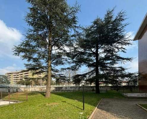 Appartamento 3 Locali Trilocale Monza vendita giardino